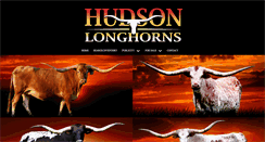 Desktop Screenshot of hudsonlonghorns.com